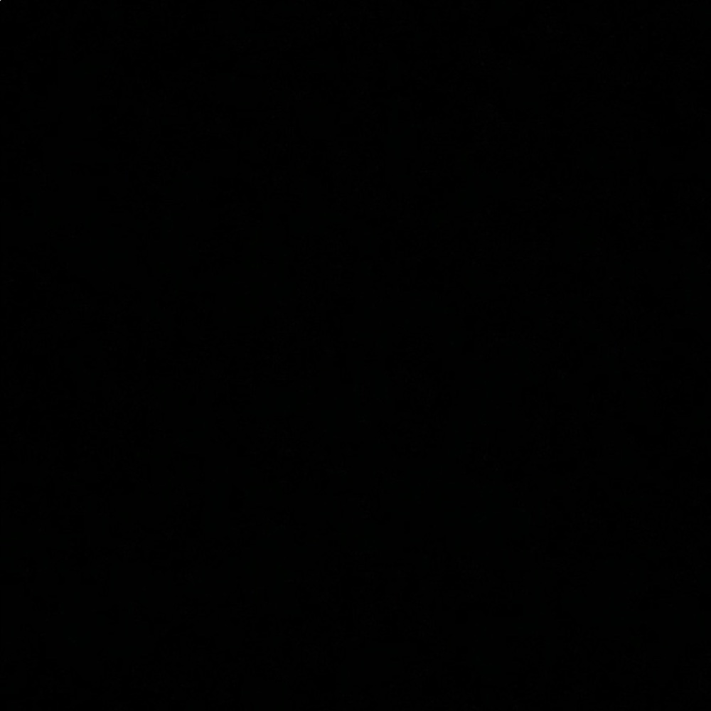 Meet your Posher, Bo